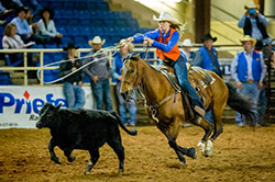 events-utm-rodeo