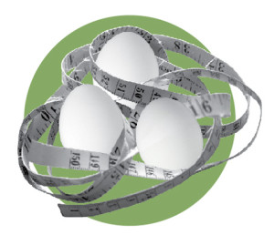 Eggs in a nest made from a measuring tape