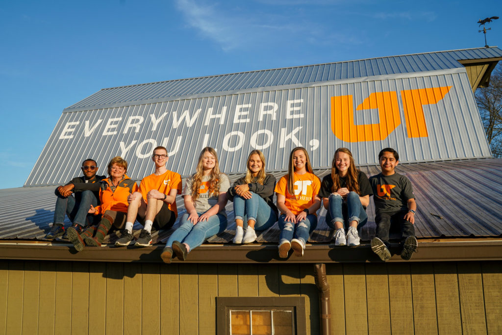 39th 'Everywhere You Look, UT' Mural on Barn at Friendship Acres Farm in  Giles County - UT System News