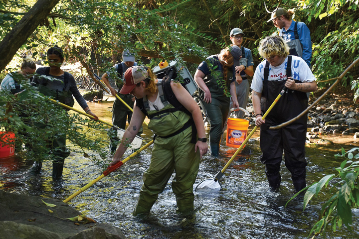 University of Tennessee Institute of Agriculture (UTIA) students working in a creek.